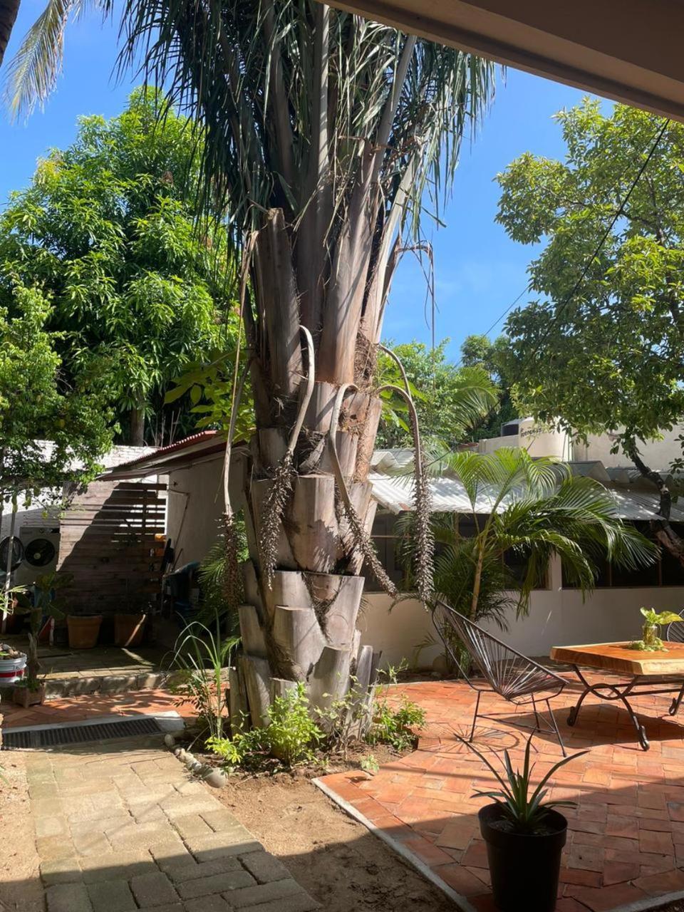 Hotel Casa Sixta A 7Min Del Aeropuerto Internacional Pmx Y 2 Cuadras Terminal Autob Ado Puerto Escondido  Zewnętrze zdjęcie
